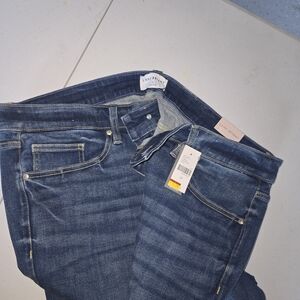 Lane Bryant Women's Dark Blue Skinny Jeans